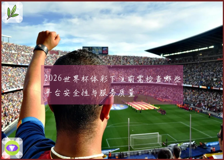 2026世界杯体彩下注前需检查哪些平台安全性与服务质量