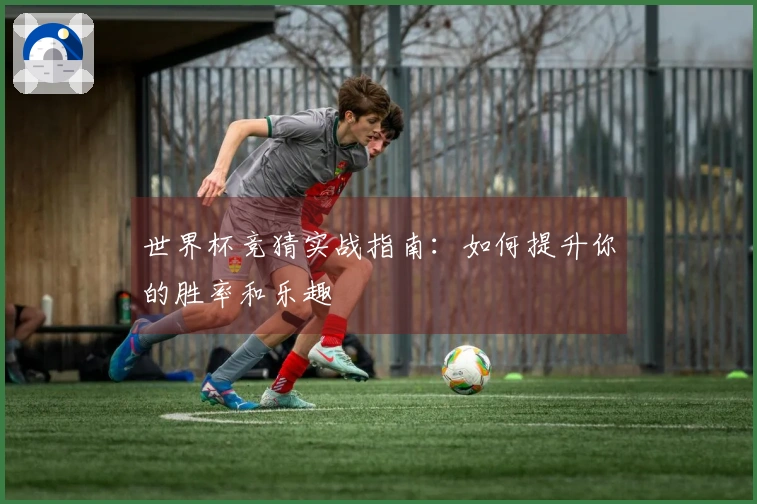 世界杯竞猜实战指南：如何提升你的胜率和乐趣