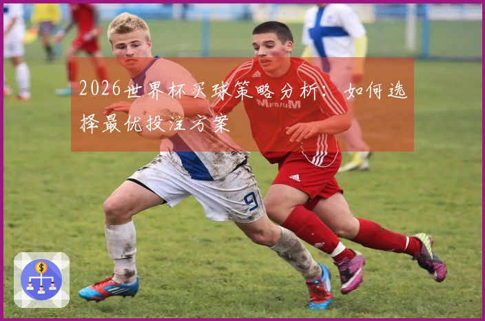 2026世界杯买球策略分析：如何选择最优投注方案