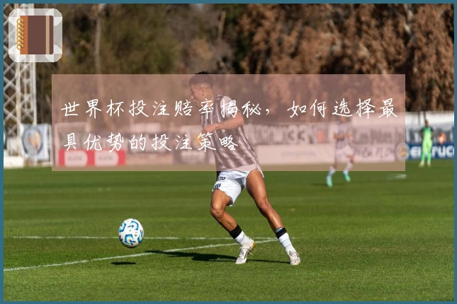 世界杯投注赔率揭秘，如何选择最具优势的投注策略